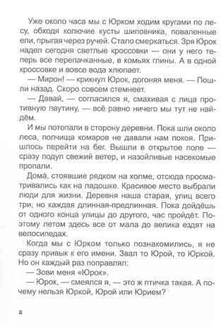 Детективы на каникулах. Детский детектив., производитель Проф-Пресс , ISBN 978-5-37834-799-5 № 2