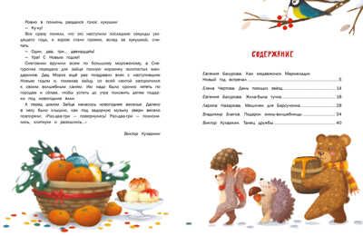 ДХЛ. Пушистые снежные сказки Бахурова Е. П., Назарова Л., Чертова Е. , Кухаркин В. М., производитель Стрекоза , ISBN 978-5-99515-045-9 № 6