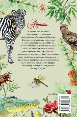 Беспризорная кошка. Житков Б. (Серия:Лучшие рассказы о живой природе с вопросами и ответами для почемучек), арт.ASE00000000072473, производитель АСТ , ISBN 978-5-17098-638-5 № 2