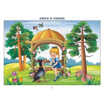 Фонетические рассказы с картинками. Свистящие звуки (для детей 5-7 лет), производитель Литур , ISBN 978-5-97801-205-7 № 3