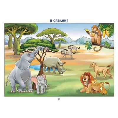 Фонетические рассказы с картинками. Свистящие звуки (для детей 5-7 лет), производитель Литур , ISBN 978-5-97801-205-7 № 5