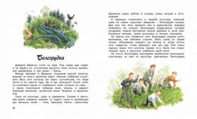 Стрижонок Скрип. Астафьев В. Библиотека детской классики, производитель Махаон , ISBN 978-5-38901-980-5 № 3