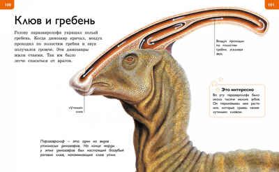 Новая энциклопедия для любознательных. Коуп Р. Энциклопедии, производитель Махаон , ISBN 978-5-38912-979-5 № 5