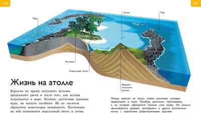 Новая энциклопедия для любознательных. Коуп Р. Энциклопедии, производитель Махаон , ISBN 978-5-38912-979-5 № 6