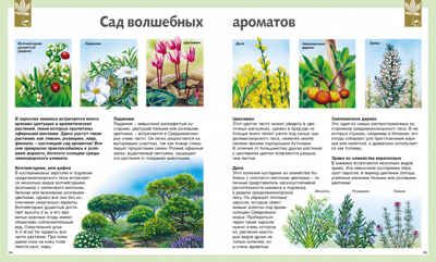 Универсальная школьная энциклопедия. Перруден Ф., Камбурнак Л., Симон Ф. Энциклопедии, производитель Махаон , ISBN 978-5-38912-977-1 № 2