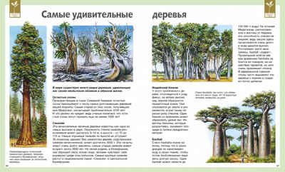 Универсальная школьная энциклопедия. Перруден Ф., Камбурнак Л., Симон Ф. Энциклопедии, производитель Махаон , ISBN 978-5-38912-977-1 № 3