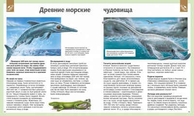 Универсальная школьная энциклопедия. Перруден Ф., Камбурнак Л., Симон Ф. Энциклопедии, производитель Махаон , ISBN 978-5-38912-977-1 № 7
