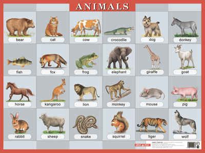 Наглядное пособие по английскому языку "Животные" ("Animals"), производитель Айрис-пресс , ISBN 978-5-81124-026-5 № 1