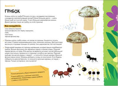 Декоративное творчество 4+ (Школа Семи Гномов. Мастерская), развивающий альбом для творчества, производитель МОЗАИКА kids , ISBN 978-5-43151-922-2 № 2
