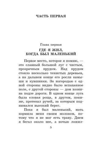 Черный красавчик, производитель АСТ , ISBN 978-5-17154-294-8 № 7