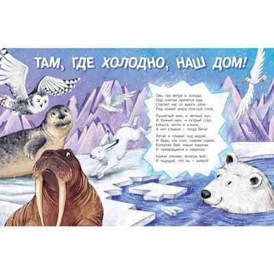 Посмотри, где мы живем!, производитель ЭНАС-КНИГА , ISBN 978-5-00198-455-9 № 2