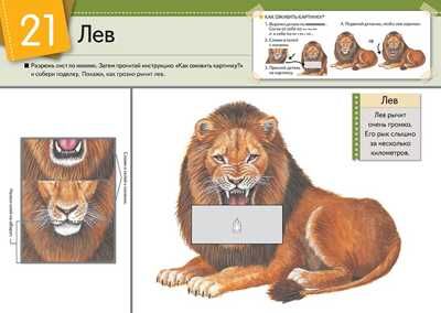Kumon. Оживи картинку! Животные, производитель Манн, Иванов и Фербер , ISBN 978-5-00117-152-2 № 3
