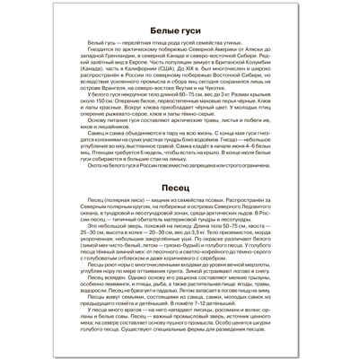 ФГОС Мир в картинках. Арктика и Антарктика, производитель МОЗАИКА-СИНТЕЗ , ISBN 978-5-43150-611-6 № 5