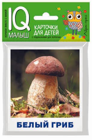 Умный малыш. Грибы наших лесов. Набор карточек для детей. Тимофеева Т.В. IQ малыш, производитель Айрис-пресс , ISBN 978-5-81127-773-5 № 1