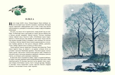 Русский лес. Соколов-Микитов И. (Серия: Образ речи), арт.3357, производитель Речь , ISBN 978-5-92682-131-1 № 3