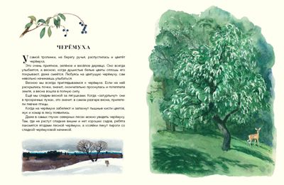 Русский лес. Соколов-Микитов И. (Серия: Образ речи), арт.3357, производитель Речь , ISBN 978-5-92682-131-1 № 5