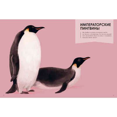 Лучшие родители. Олливье Р., Клаас К. Это очень интересно, производитель ЭНАС-КНИГА , ISBN 978-5-91921-897-5 № 3