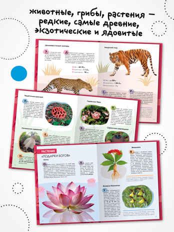 Детская энциклопедия. Набор их 2-х книг, производитель МОЗАИКА kids , ISBN 978-5-43154-491-0 № 2