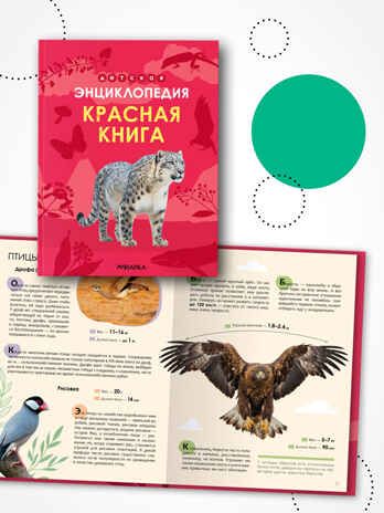 Детская энциклопедия. Набор их 2-х книг, производитель МОЗАИКА kids , ISBN 978-5-43154-491-0 № 3