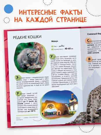 Детская энциклопедия. Набор их 2-х книг, производитель МОЗАИКА kids , ISBN 978-5-43154-491-0 № 6