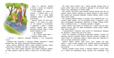 Миша и шпиц спасают природу:экологическое воспитание ребенка. - Изд. 2-е, производитель Феникс ТД, ISBN 978-5-22237-141-1 № 4