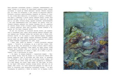 100 ЛУЧШИХ КНИГ. Лучшие сказки Х.К.Андерсена Андерсен Х.Х., производитель Стрекоза , ISBN 978-5-99514-381-9 № 2