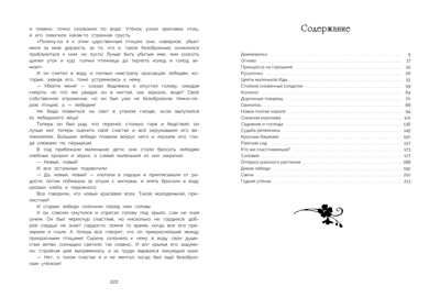 100 ЛУЧШИХ КНИГ. Лучшие сказки Х.К.Андерсена Андерсен Х.Х., производитель Стрекоза , ISBN 978-5-99514-381-9 № 6