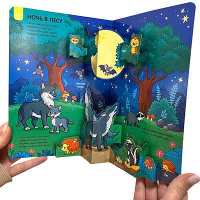 Играй и учись. Лес, производитель Malamalama (Маламалама), ISBN 978-5-00134-638-8 № 3