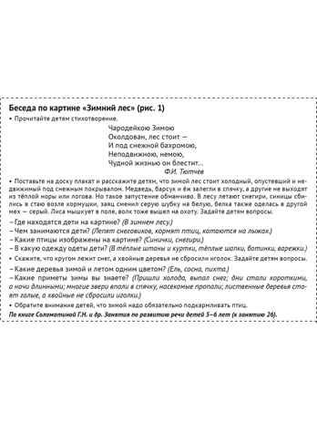 Демонстрационные картины А3. Времена года: Зима. Методический материал к основной образовательной программе ДОО (8 картин А3+, этикетка с текстом заданий на обороте)., производитель Сфера ТЦ , ISBN 978-5-99493-509-5 № 5