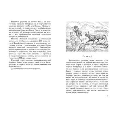 Степной найденыш. Гарт Б. Крутой поворот, производитель ЭНАС-КНИГА , ISBN 978-5-00198-042-1 № 3