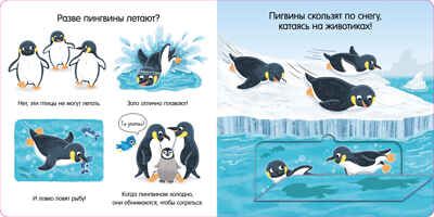 Животные. Книжка с окошками, производитель Клевер (Clever) , ISBN 978-5-00154-020-5 № 6