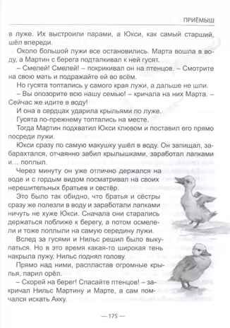 Чудесное путешествие Нильса с дикими гусями. Лагерлеф С. Школьная библиотека, производитель Проф-Пресс , ISBN 978-5-37831-666-3 № 3
