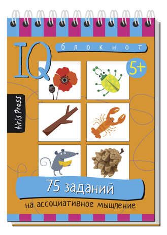 Посылка. Мини-комплект IQ-игр для развития креативного мышления, производитель Айрис-пресс , ISBN 978-5-81127-965-4 № 6