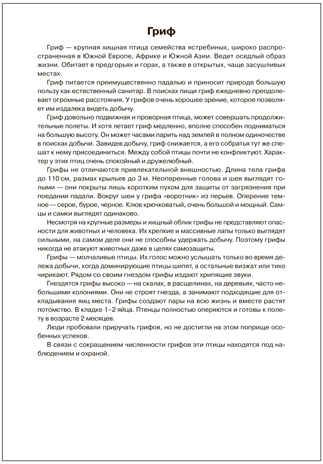 Мир в картинках. Птицы хищные. ФГОС. ФОП, производитель МОЗАИКА-СИНТЕЗ , ISBN 978-5-43151-508-8 № 3