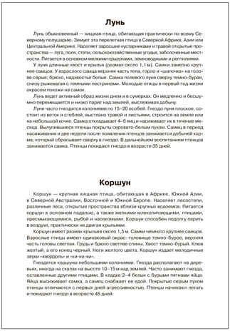 Мир в картинках. Птицы хищные. ФГОС. ФОП, производитель МОЗАИКА-СИНТЕЗ , ISBN 978-5-43151-508-8 № 5