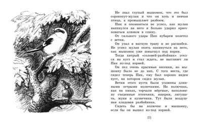 Лесные сказки и рассказы (иллюстр. Е. Рачёва). Бианки В.В. Наши любимые книжки, производитель Махаон , ISBN 978-5-38917-910-3 № 5