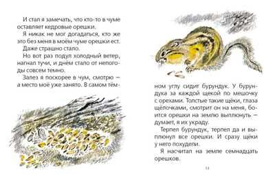Хитрый бурундук. Снегирёв Г. Странички-невелички, производитель Речь , ISBN 978-5-92682-065-9 № 2