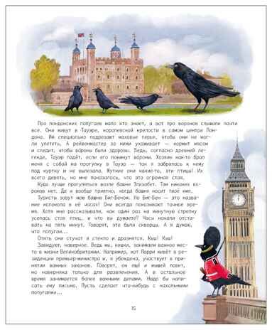 Вокруг света с кошками. География в конвертах., производитель МОЗАИКА kids , ISBN 978-5-43154-625-9 № 5