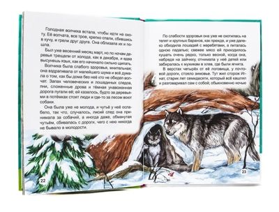 Сказки русских писателей. Библиотека детского сада, производитель Проф-Пресс , ISBN 978-5-37831-360-0 № 4